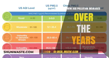 The Rising Pollution Crisis: A Historical Perspective