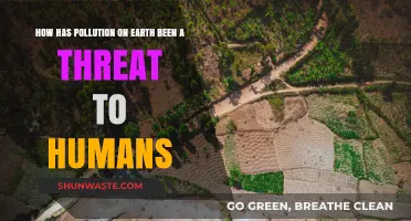 The Toxic Earth: Pollution's Threat to Humans