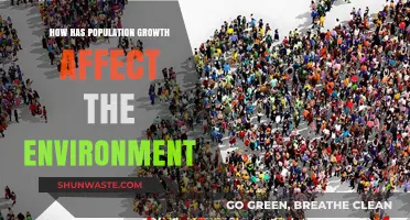Population Growth's Impact: Environmental Challenges and Sustainable Solutions