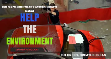 Obama's Economic Stimulus: A Green Boost for the Environment
