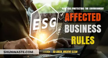 Environmental Protection Reshaping Business Rules: Challenges and Opportunities