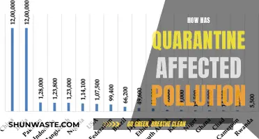 Quarantine's Impact on Pollution: A Global Reset?