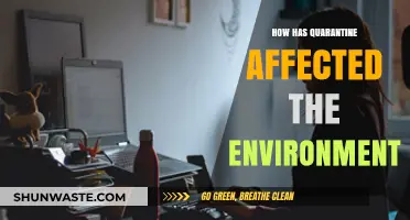 Quarantine's Green Impact: Unveiling Environmental Changes During Global Lockdown