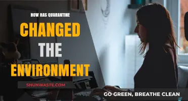 Quarantine's Impact: Unveiling the Environment's Transformation During Lockdown