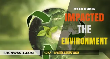 Recycling's Environmental Impact: Transforming Waste into Sustainable Solutions