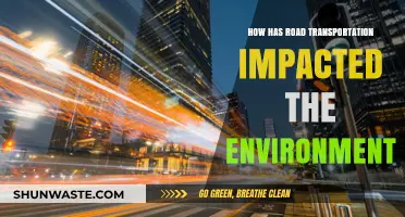 Road Transportation's Environmental Impact: Challenges and Sustainable Solutions