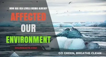 Rising Seas: Devastating Impacts on Ecosystems, Coastlines, and Communities