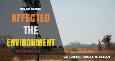 Smoking's Environmental Impact: Pollution, Deforestation, and Climate Change