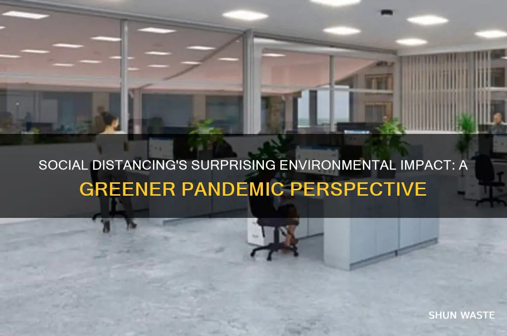 how has social distancing affected the environment