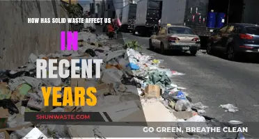 Solid Waste Crisis: Recent Impacts on Health, Environment, and Society