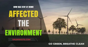 Stay-at-Home Orders: Unintended Environmental Impacts and Positive Changes