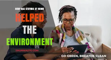 Staying Home: Unintended Environmental Benefits of Reduced Human Activity