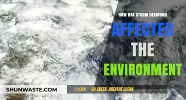Storm Desmond's Environmental Impact: Assessing the Aftermath and Long-Term Effects