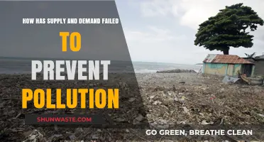 Supply and Demand: Pollution's Persistent Problem