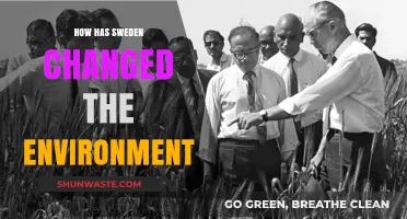 Sweden's Green Revolution: Transforming the Environment Through Innovation and Policy