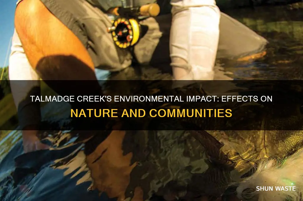 how has talmadge creek impacted the environment or human lives