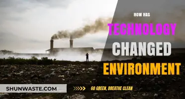 Technology's Impact: Transforming the Environment in Surprising Ways