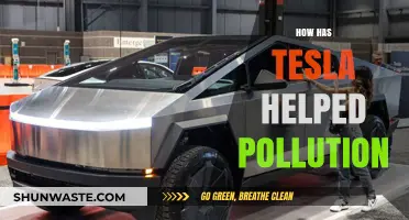 Tesla's Green Revolution: Reducing Pollution's Impact