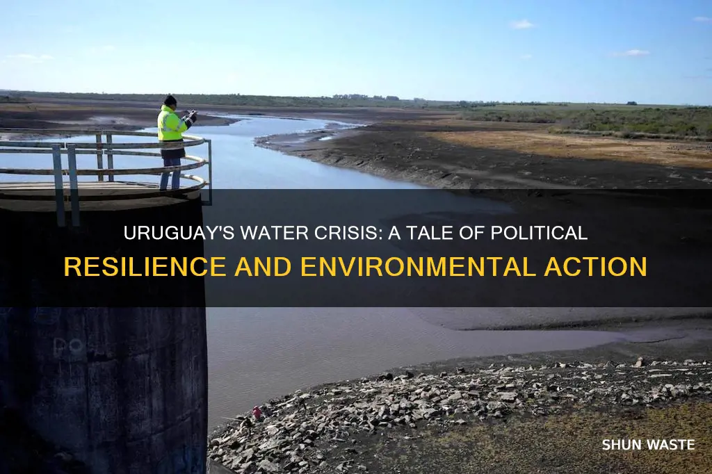 how has th uruguay government handled the water pollution