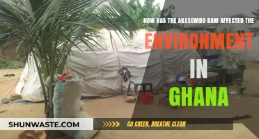 Akosombo Dam's Environmental Impact: Transforming Ghana's Ecosystem and Landscape