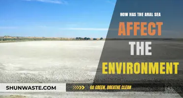The Aral Sea's Environmental Impact: A Devastating Legacy Explored