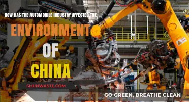 China's Auto Industry: Environmental Impact and Sustainability Challenges