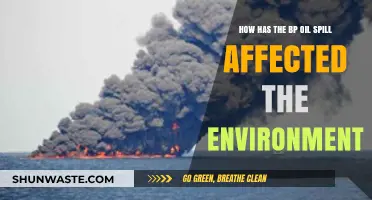 BP Oil Spill's Devastating Environmental Impact: A Comprehensive Analysis