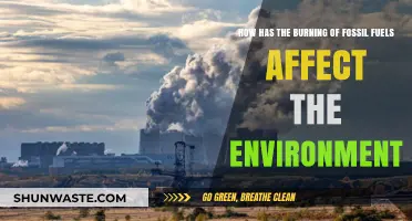 Fossil Fuel Burning: Devastating Environmental Impacts and Urgent Solutions