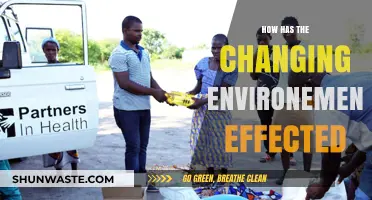 How the Changing Environment Impacts Our World and Future