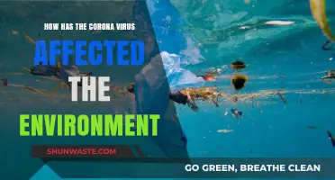 COVID-19's Environmental Impact: Positive Changes and Lasting Effects