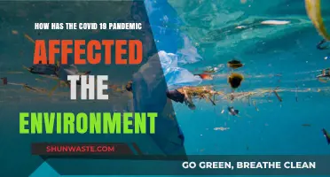 COVID-19's Environmental Impact: A Silver Lining Amidst the Crisis