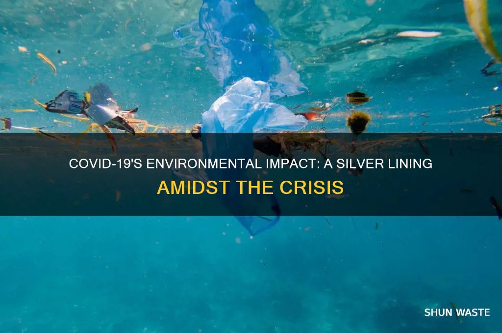 2646896485760638495alle25 Silver Linings Found Amidst The Crisis The Predictive Indexhtml