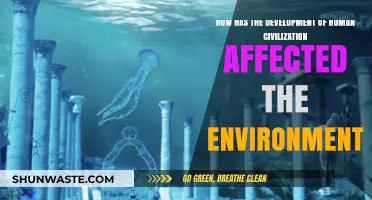 Human Progress and Its Environmental Impact: A Historical Overview