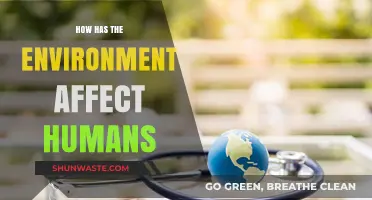 Environmental Impacts on Human Health, Society, and Survival: A Deep Dive