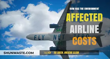 Environmental Factors Driving Up Airline Costs: A Comprehensive Analysis