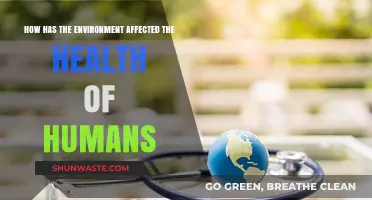 Environmental Impact on Human Health: Exploring the Vital Connection