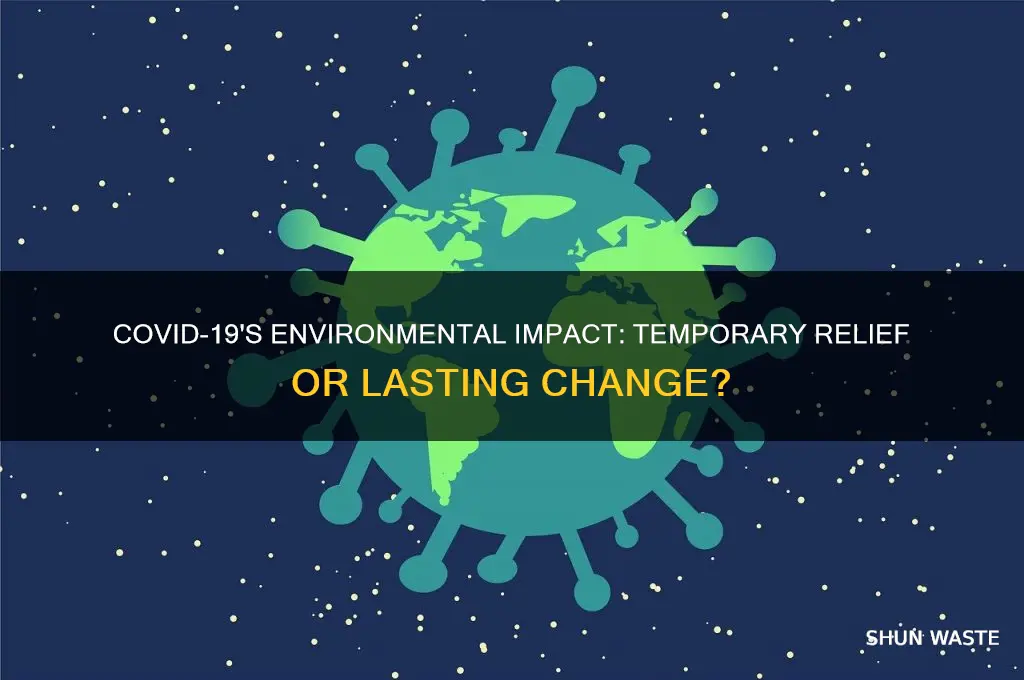 how has the environment been affected by covid