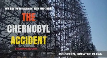 Chernobyl's Lasting Impact: Environmental Consequences of the Nuclear Disaster