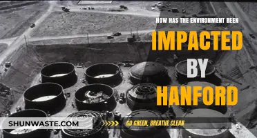 Hanford's Environmental Legacy: Pollution, Wildlife, and Community Impact