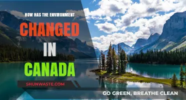 Canada's Evolving Environment: Impacts, Challenges, and Conservation Efforts