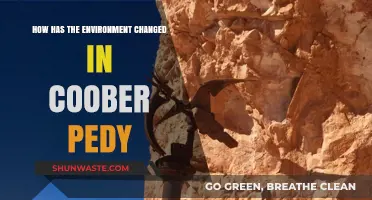 Coober Pedy's Environmental Evolution: Climate, Mining, and Ecosystem Shifts