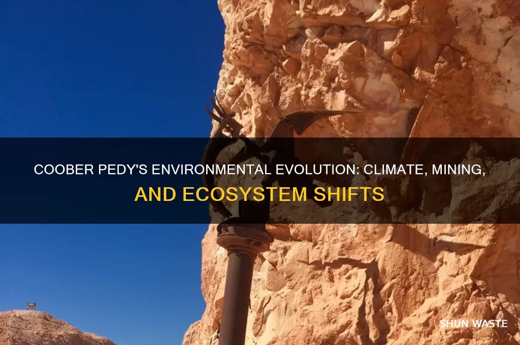 how has the environment changed in coober pedy