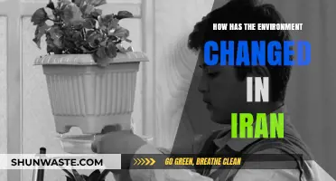 Iran's Environmental Transformation: Challenges, Impacts, and Sustainable Solutions
