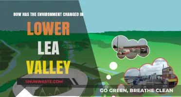 Lower Lea Valley's Environmental Transformation: A Comprehensive Overview