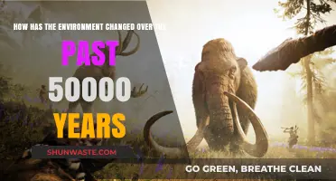 Earth's Evolution: 50,000 Years of Environmental Transformation and Impact