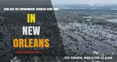 New Orleans' Environmental Evolution: A Historical Perspective on Change
