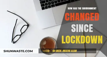 Post-Lockdown Environmental Shifts: Nature's Revival and Human Impact Analysis