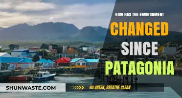 Environmental Shifts Since Patagonia: A Comprehensive Analysis of Changes