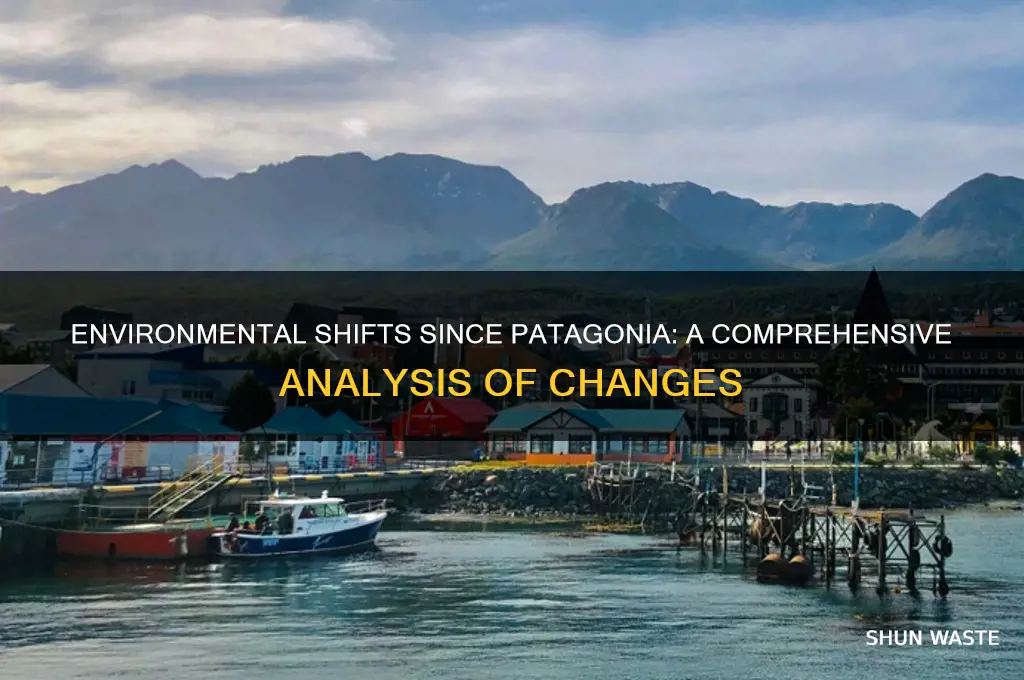how has the environment changed since patagonia