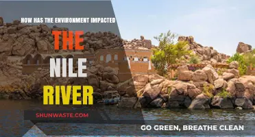 Environmental Shifts: Transforming the Nile River's Ecosystem and Flow